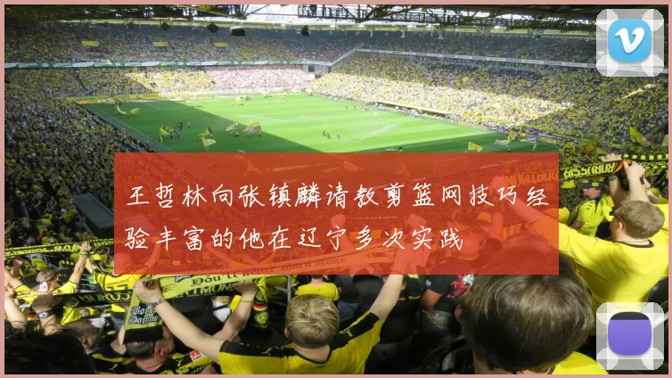 王哲林向张镇麟请教剪篮网技巧经验丰富的他在辽宁多次实践
